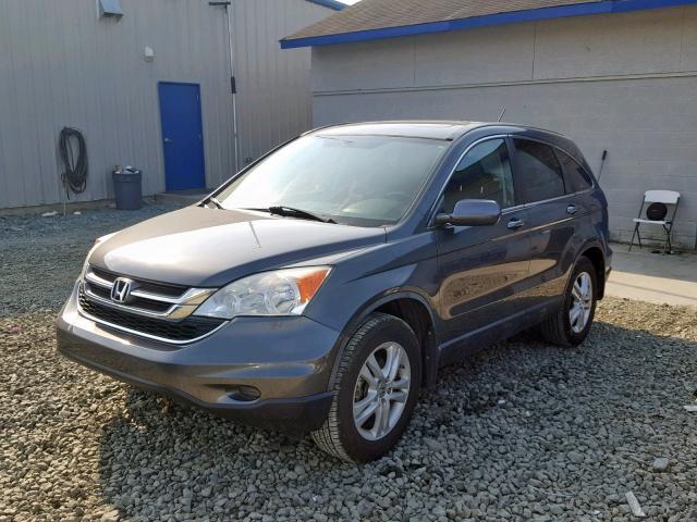 5J6RE3H72BL036733 - 2011 HONDA CR-V EXL GRAY photo 2