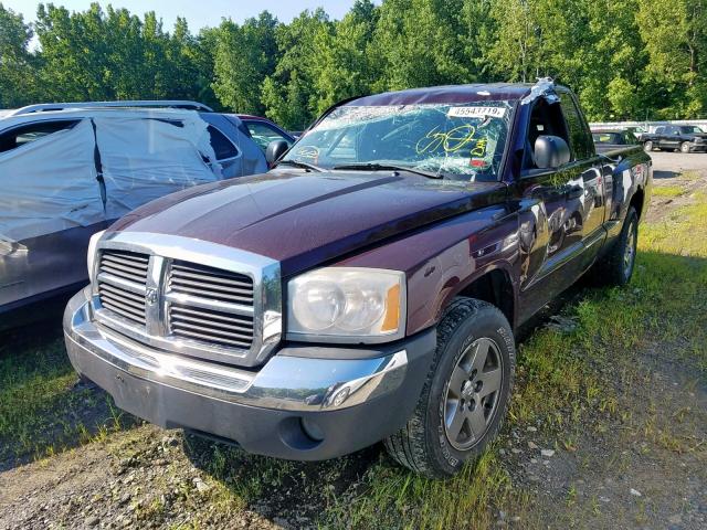 1D7HW42N35S127957 - 2005 DODGE DAKOTA SLT BURGUNDY photo 2