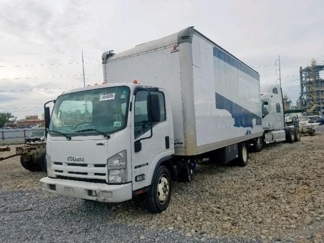 JALE5W165D7300030 - 2013 ISUZU NQR WHITE photo 2