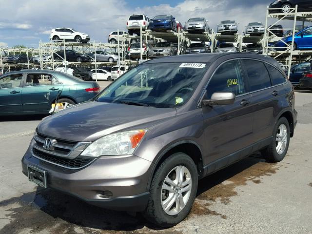 5J6RE4H77BL027001 - 2011 HONDA CR-V EXL BROWN photo 2