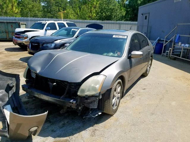 1N4BA41E54C887452 - 2004 NISSAN MAXIMA SE GOLD photo 2