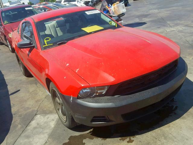 1ZVBP8AN6A5106838 - 2010 FORD MUSTANG RED photo 1