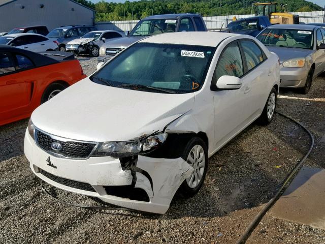 KNAFU4A26D5715201 - 2013 KIA FORTE EX WHITE photo 2