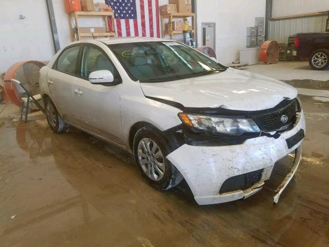 KNAFU4A28C5490858 - 2012 KIA FORTE EX WHITE photo 1