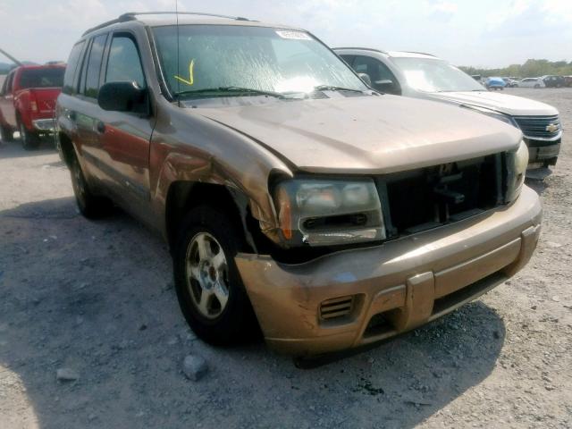 1GNDS13S532129334 - 2003 CHEVROLET TRAILBLAZE BROWN photo 1