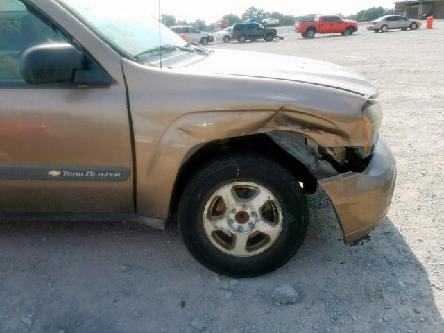 1GNDS13S532129334 - 2003 CHEVROLET TRAILBLAZE BROWN photo 9