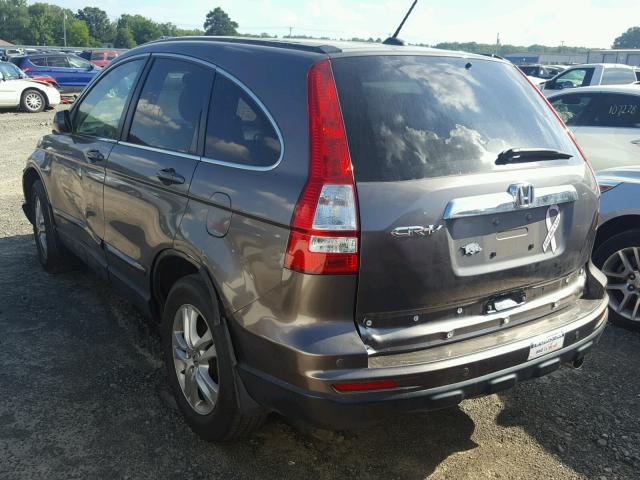 5J6RE3H71AL015810 - 2010 HONDA CR-V EXL TAN photo 3