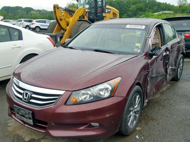 1HGCP3F86BA020713 - 2011 HONDA ACCORD EXL BURGUNDY photo 2