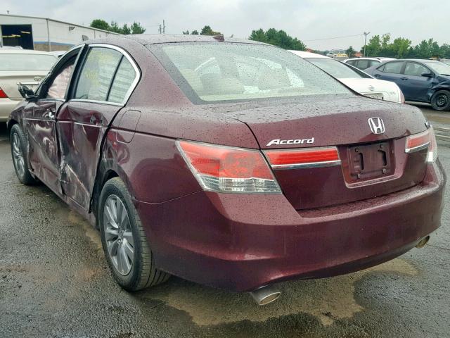 1HGCP3F86BA020713 - 2011 HONDA ACCORD EXL BURGUNDY photo 3