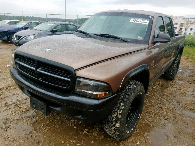 1B7GG2AN61S220037 - 2001 DODGE DAKOTA QUA BROWN photo 2