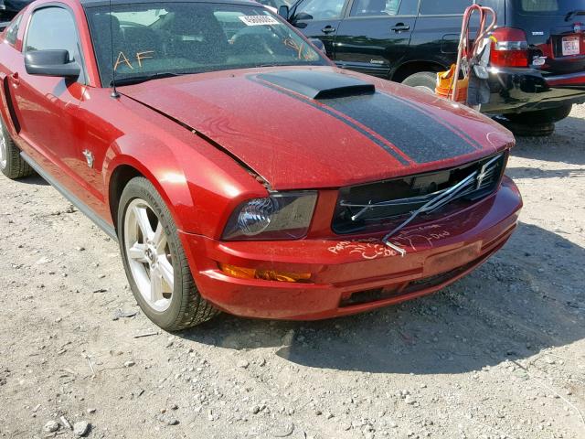 1ZVHT80N395139685 - 2009 FORD MUSTANG RED photo 9