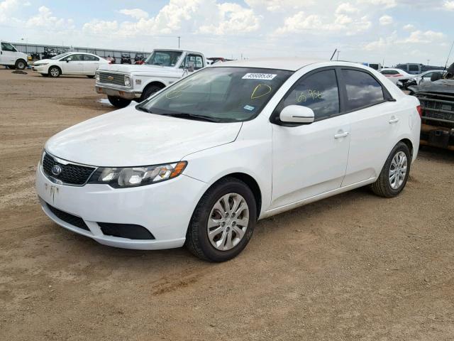 KNAFU4A22B5423929 - 2011 KIA FORTE EX WHITE photo 2