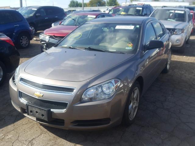 1G1ZB5EB2AF227822 - 2010 CHEVROLET MALIBU LS GOLD photo 2