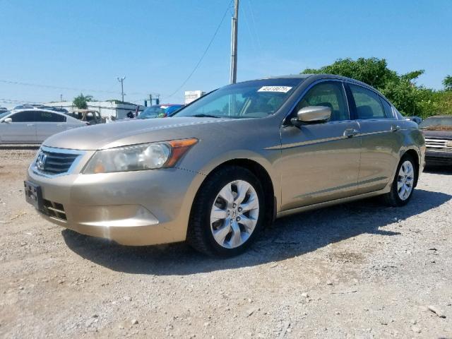 JHMCP26809C003346 - 2009 HONDA ACCORD EXL TAN photo 2