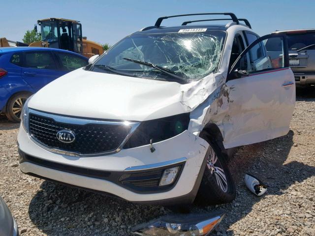 KNDPC3AC3E7574834 - 2014 KIA SPORTAGE E WHITE photo 2