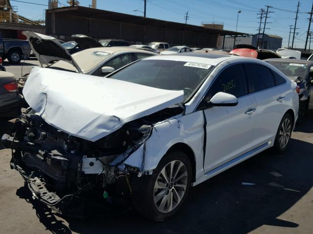 5NPE34AF9GH424877 - 2016 HYUNDAI SONATA SPO WHITE photo 2