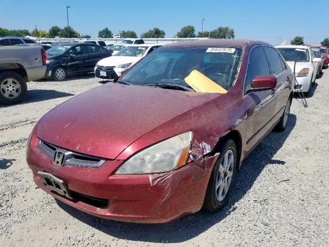 1HGCM66583A041788 - 2003 HONDA ACCORD RED photo 2