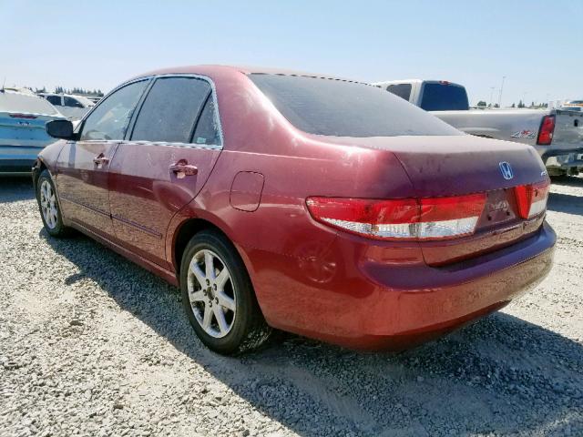 1HGCM66583A041788 - 2003 HONDA ACCORD RED photo 3