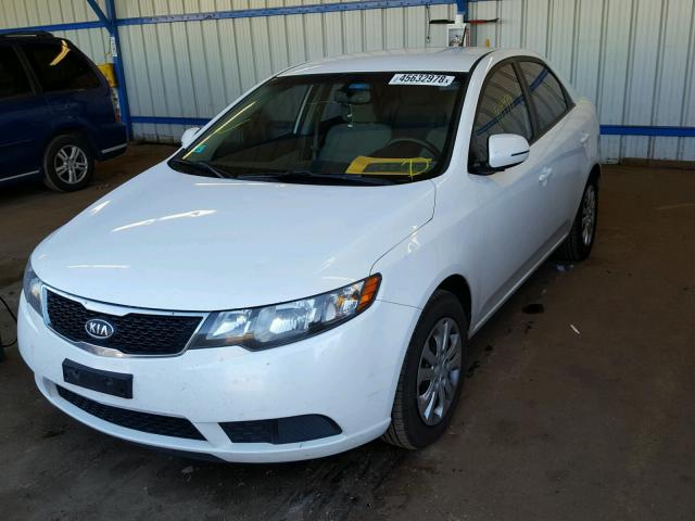 KNAFU4A29B5415634 - 2011 KIA FORTE EX WHITE photo 2