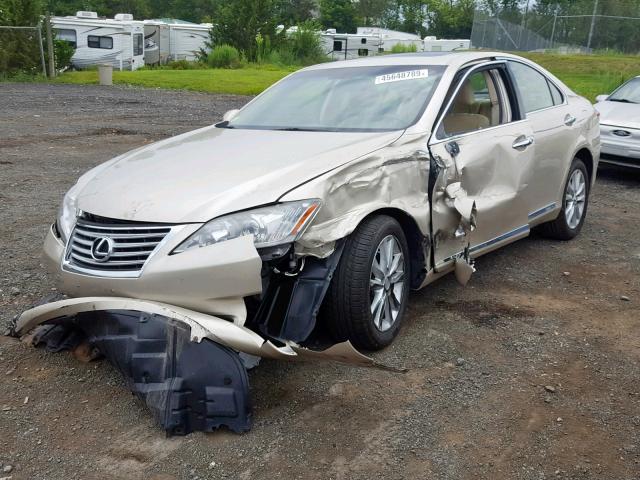 JTHBK1EG3A2407409 - 2010 LEXUS ES 350 TAN photo 2