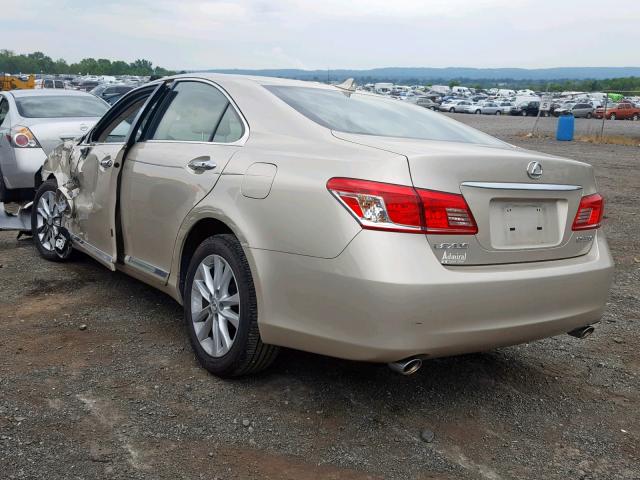 JTHBK1EG3A2407409 - 2010 LEXUS ES 350 TAN photo 3