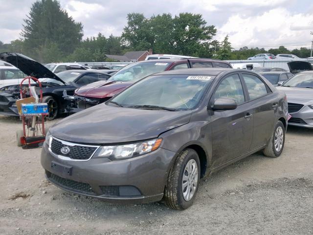 KNAFU4A2XC5528364 - 2012 KIA FORTE EX GOLD photo 2