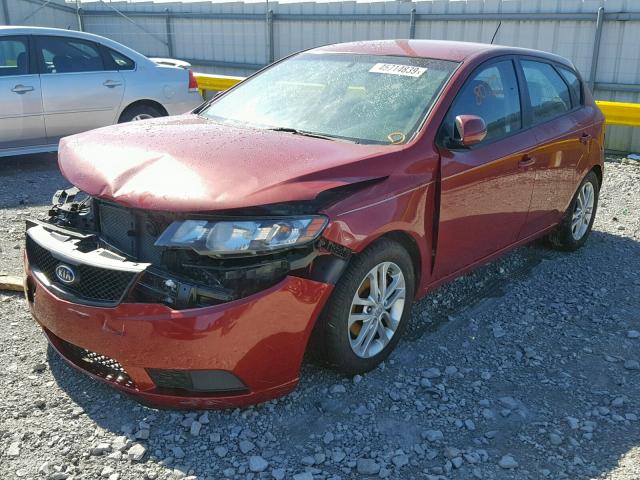 KNAFU5A22B5404898 - 2011 KIA FORTE EX MAROON photo 2