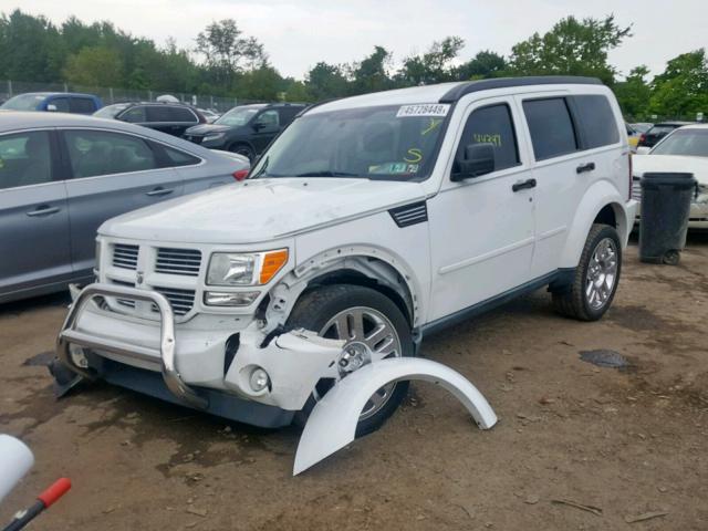 1D4PU4GK3BW590649 - 2011 DODGE NITRO HEAT WHITE photo 2