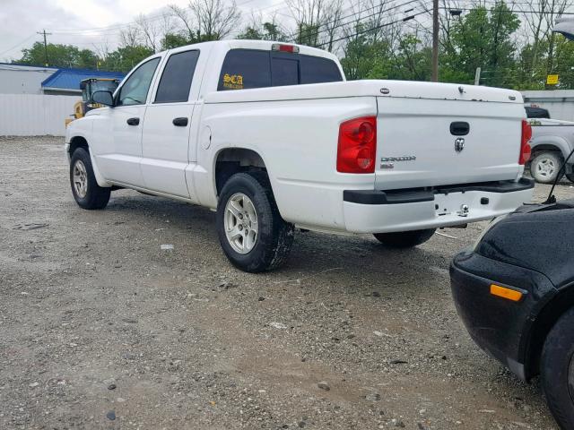 1D7HE48K97S107909 - 2007 DODGE DAKOTA QUA WHITE photo 3