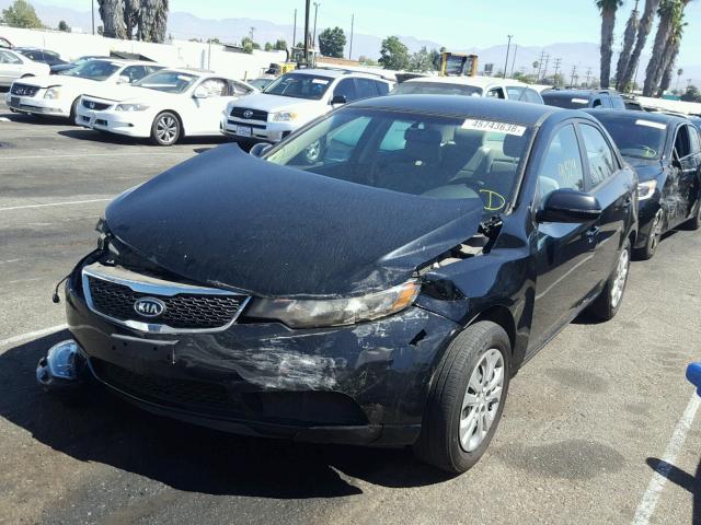 KNAFU4A26C5490082 - 2012 KIA FORTE EX BLACK photo 2