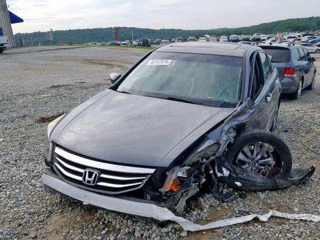 5KBCP3F8XBB003582 - 2011 HONDA ACCORD EXL GRAY photo 2