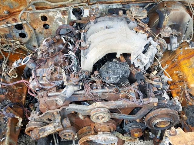 5N1ED28TX4C669753 - 2004 NISSAN XTERRA XE BURN photo 7