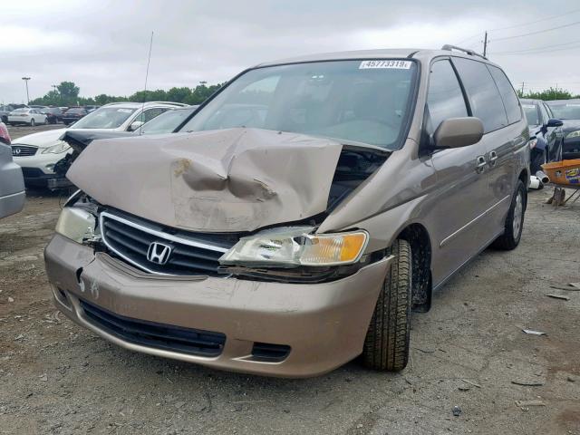 5FNRL18023B071750 - 2003 HONDA ODYSSEY EX TAN photo 2