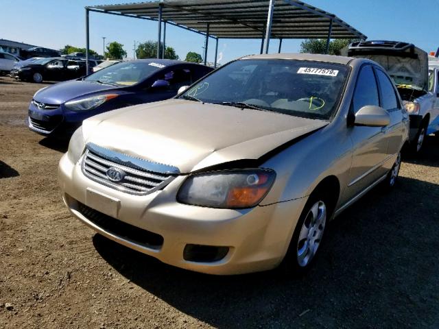 KNAFE222095658954 - 2009 KIA SPECTRA EX GOLD photo 2