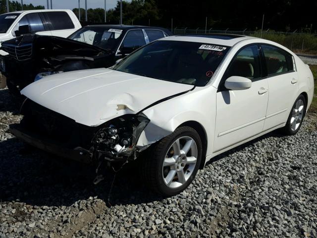 1N4BA41E15C808229 - 2005 NISSAN MAXIMA SE WHITE photo 2