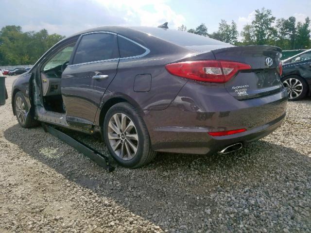 5NPE34AF7GH418043 - 2016 HYUNDAI SONATA SPO BROWN photo 3