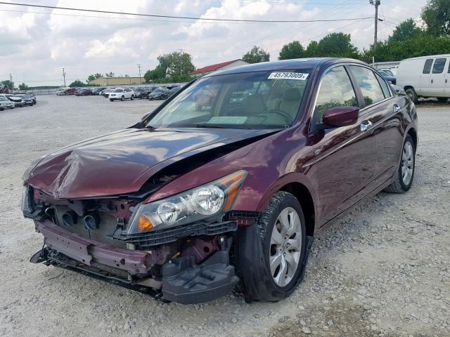 1HGCP36859A051588 - 2009 HONDA ACCORD EXL BURGUNDY photo 2