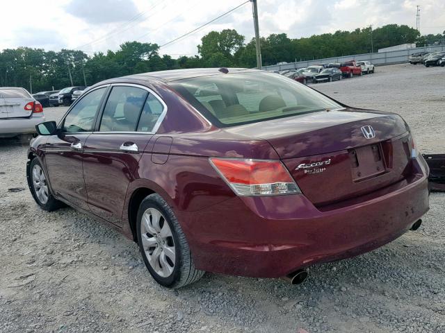 1HGCP36859A051588 - 2009 HONDA ACCORD EXL BURGUNDY photo 3