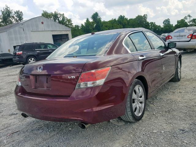 1HGCP36859A051588 - 2009 HONDA ACCORD EXL BURGUNDY photo 4