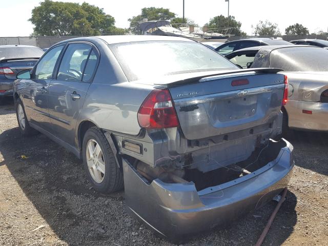 1G1ZT54815F216092 - 2005 CHEVROLET MALIBU LS 灰色 照片 3