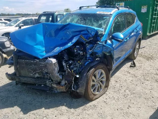 KM8J3CA23HU312312 - 2017 HYUNDAI TUCSON LIM BLUE photo 2