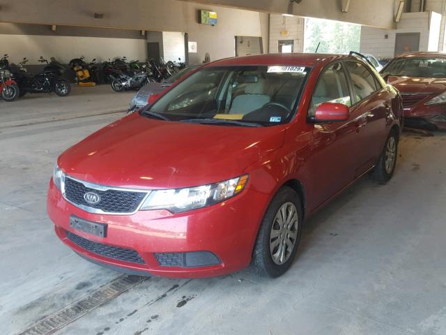 KNAFU4A26D5680501 - 2013 KIA FORTE EX RED photo 2