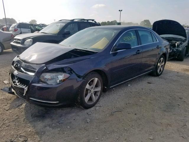 1G1ZC5E12BF230211 - 2011 CHEVROLET MALIBU 1LT 蓝色 照片 2