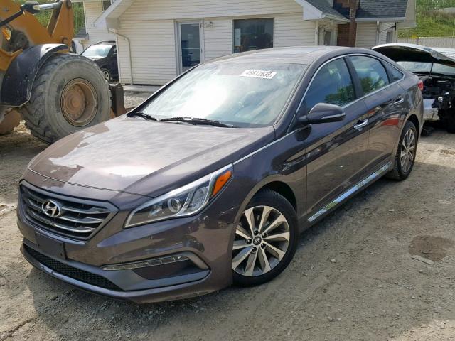 5NPE34AF6GH339950 - 2016 HYUNDAI SONATA SPO GRAY photo 2