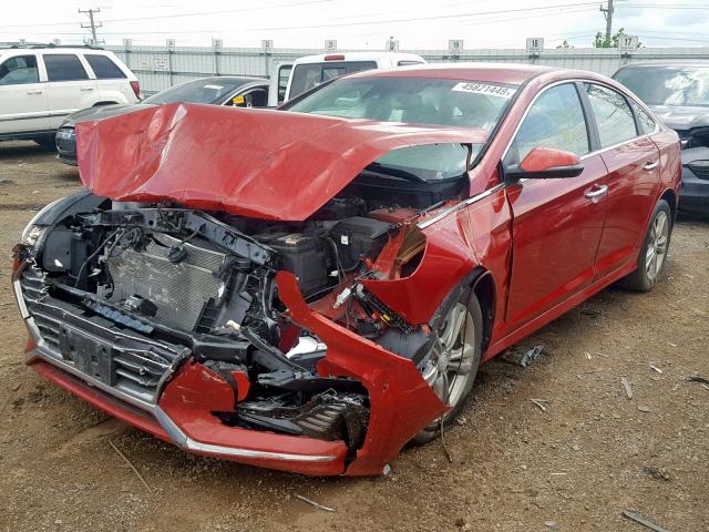 5NPE34AF2JH598362 - 2018 HYUNDAI SONATA SPO RED photo 2