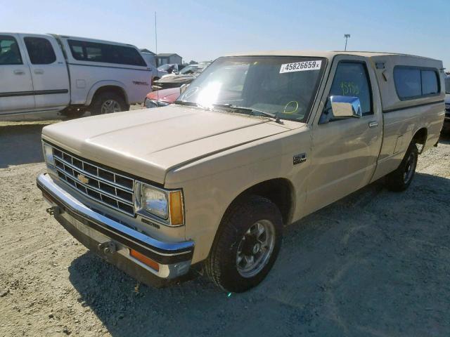 1GCCS14R0G8188035 - 1986 CHEVROLET S TRUCK S1 TAN photo 2