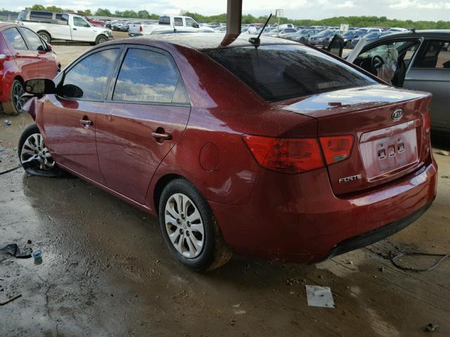 KNAFU4A20B5419782 - 2011 KIA FORTE EX RED photo 3