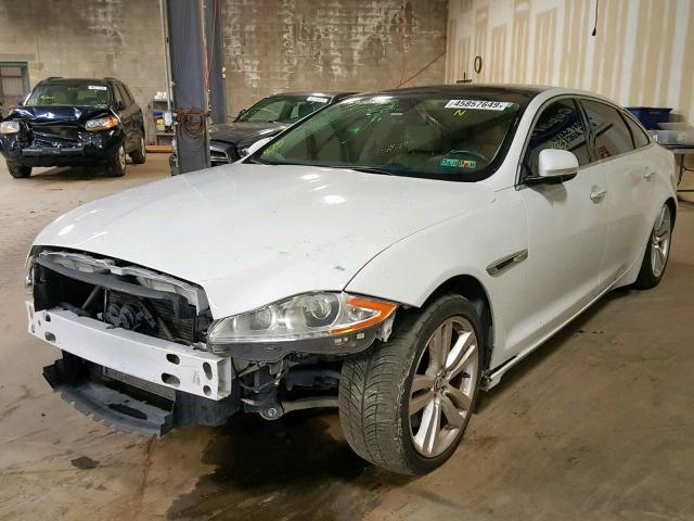 SAJWJ2GDXD8V44090 - 2013 JAGUAR XJL PORTFO WHITE photo 2