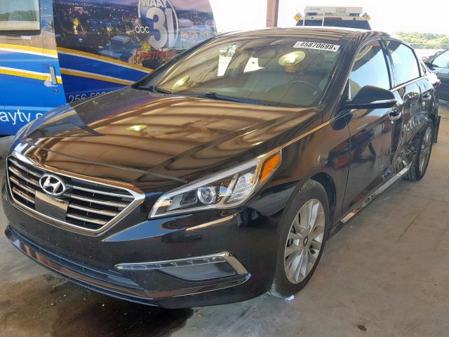 5NPE34AF7FH083669 - 2015 HYUNDAI SONATA SPO BLACK photo 2