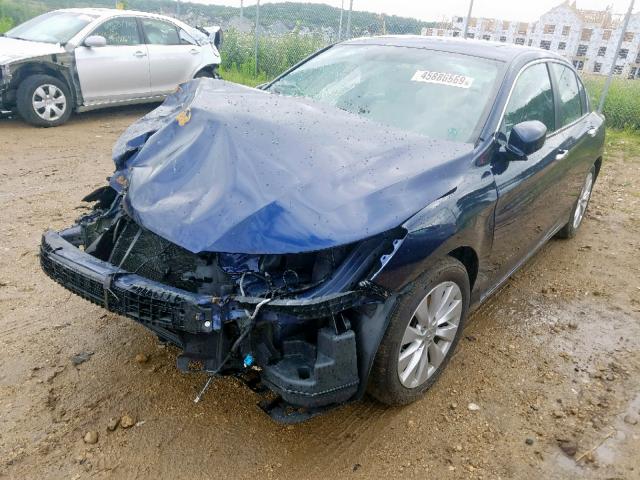 1HGCR2F8XEA153323 - 2014 HONDA ACCORD EXL BLUE photo 2